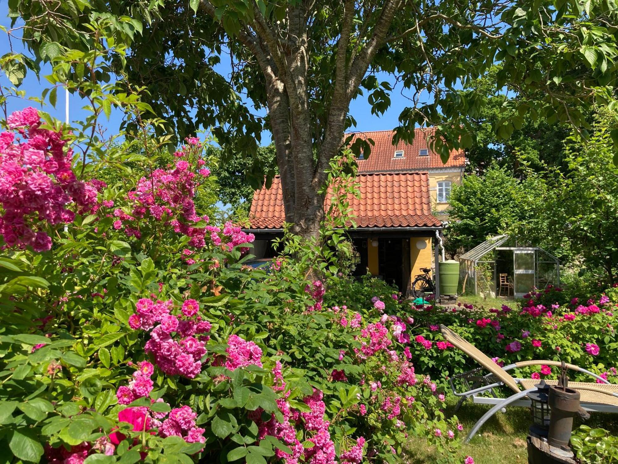 Den Gamle Skomager Hytte Ved Slotssoen Gråsten Eksteriør billede